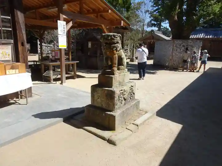 櫻井神社の狛犬