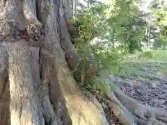 香取神社の建物その他