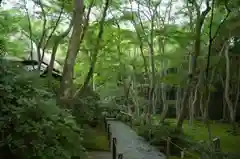 滝口寺の自然