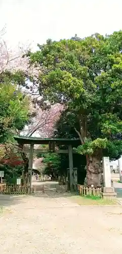 畑子安神社の鳥居