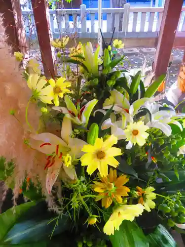 彌彦神社　(伊夜日子神社)(北海道)