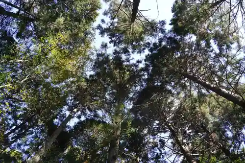 涼ケ岡八幡神社の自然