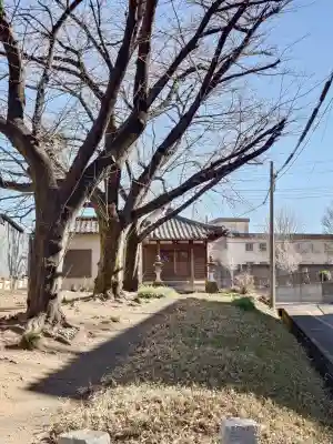 青柳釈迦堂の{uncategorized: "未分類", other: "その他", undefined: "問題あり", building: "その他建物", grave: "お墓", sacred_gate: "鳥居", guardian: "狛犬", statue: "像", buddha: "仏像", history: "歴史", nature: "自然", garden: "庭園", animal: "動物", pagoda: "塔", temizu: "手水舎", mountain_gate: "山門・神門", sanctuary: "本殿・本堂", subordinate: "末社・摂社", art: "芸術", scenery: "景色", jizo: "地蔵", ema: "絵馬", goshuin: "御朱印", omikuji: "おみくじ", items: "授与品その他", amulet: "お守り", goshuincho: "御朱印帳", eats: "食事", festival: "お祭り", votive_dance: "神楽", shichigosan: "七五三参", wedding: "結婚式", experience: "体験その他", initially: "初詣", around: "周辺", anti_infection: "感染症対策"}