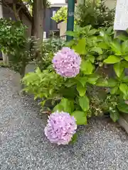 片瀬諏訪神社(神奈川県)