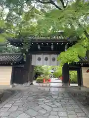 今宮神社(京都府)