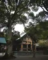 安房神社(千葉県)