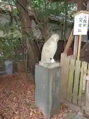 大豊神社の狛犬