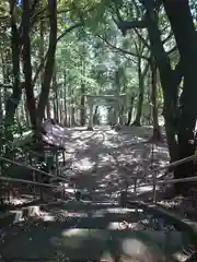 八幡神社(埼玉県)