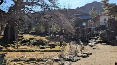 西善寺の庭園