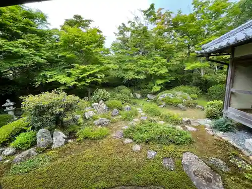 源光庵の庭園