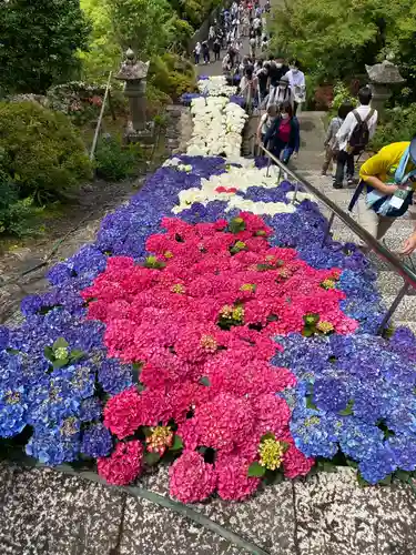 三室戸寺の庭園