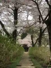 長念寺の自然