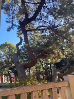 平塚八幡宮(神奈川県)