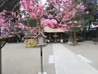 芳賀天満宮(栃木県)