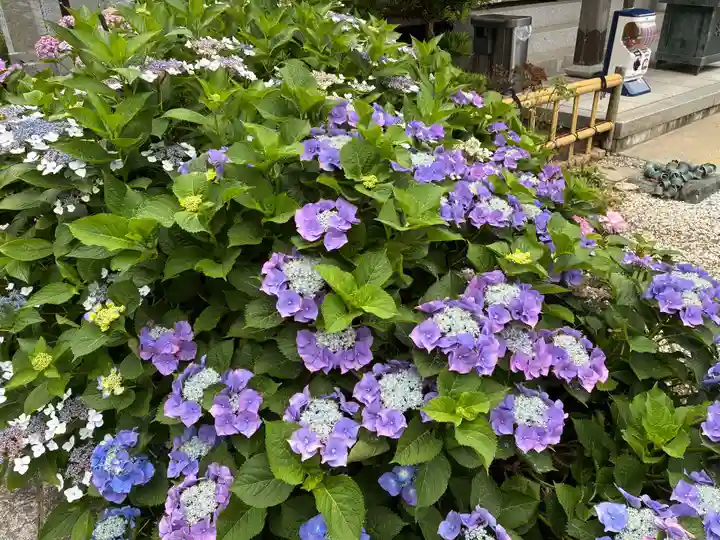 潮明寺(徳島県)