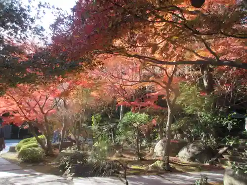 覚園寺の庭園