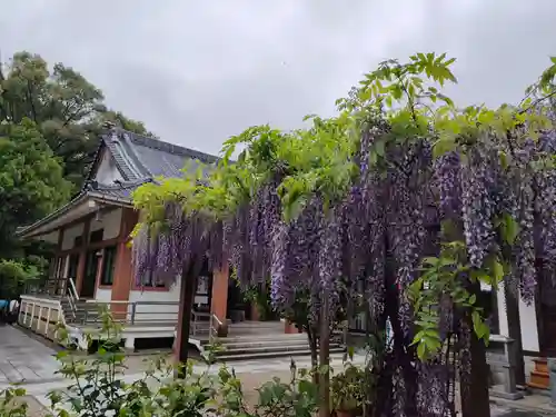 宝寿院の庭園