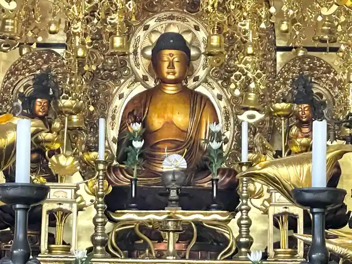 信楽院(滋賀県)