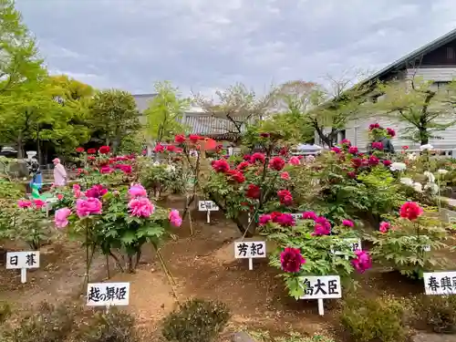 西新井大師総持寺(東京都)