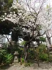 菊田神社の自然