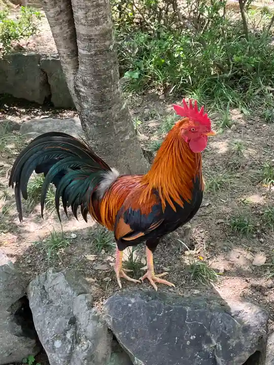 熱田神宮(愛知県)