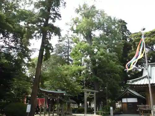 深見神社の自然