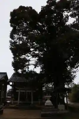 大神宮社(滋賀県)