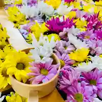 土津神社|こどもと出世の神さまの手水舎