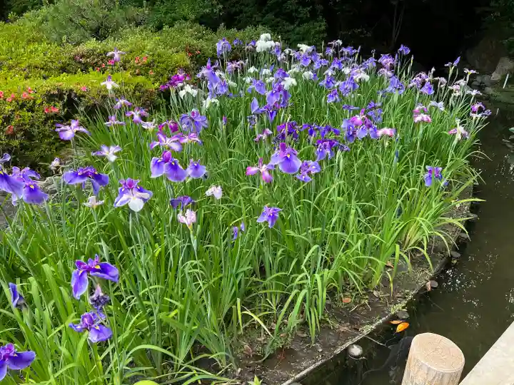 平安神宮(京都府)