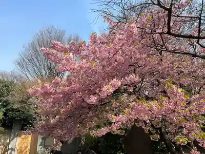 新井薬師（梅照院）(東京都)