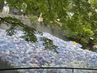 楽法寺(雨引観音)(茨城県)