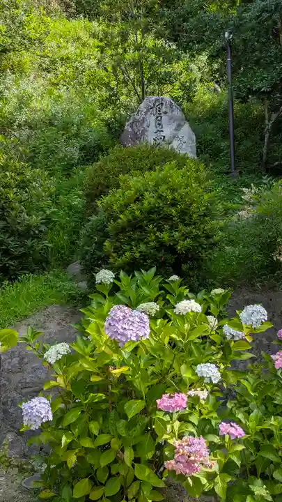 岡寺(龍蓋寺)(奈良県)