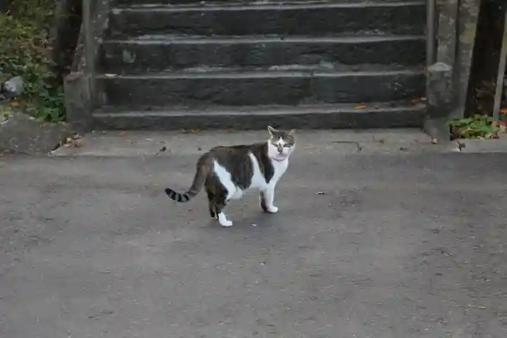 大慈寺(宮城県)