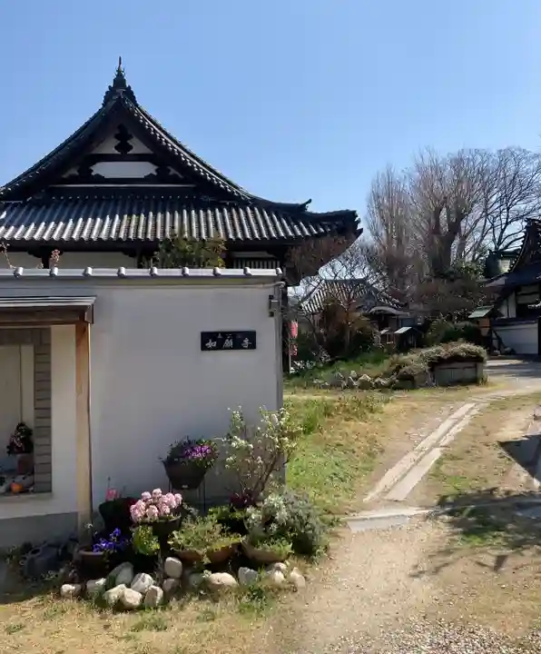 如願寺(大阪府)
