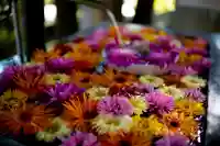坂本八幡神社(徳島県)