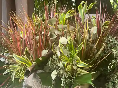 富知六所浅間神社の自然