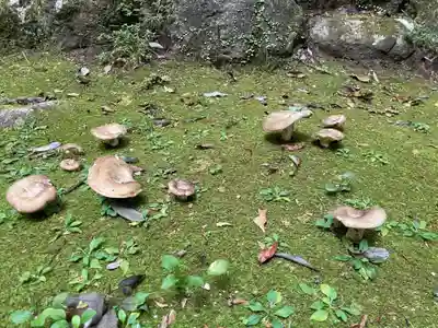 西山神社(京都府)