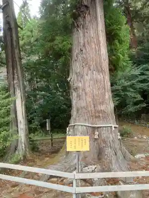 大舩神社（八百津町）(岐阜県)