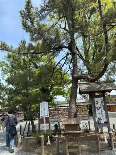 阿蘇神社(熊本県)
