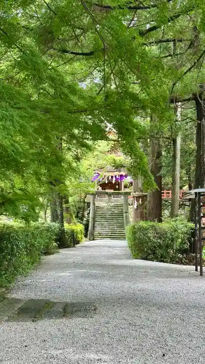 高鴨神社(奈良県)