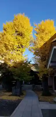 青砥神社のその他建物