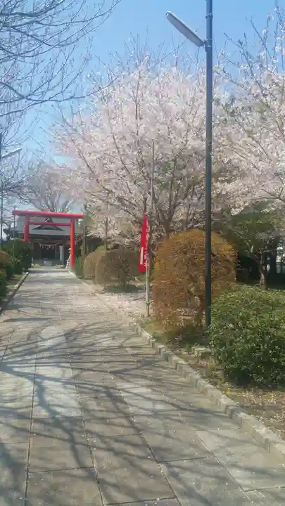 見川稲荷神社の自然