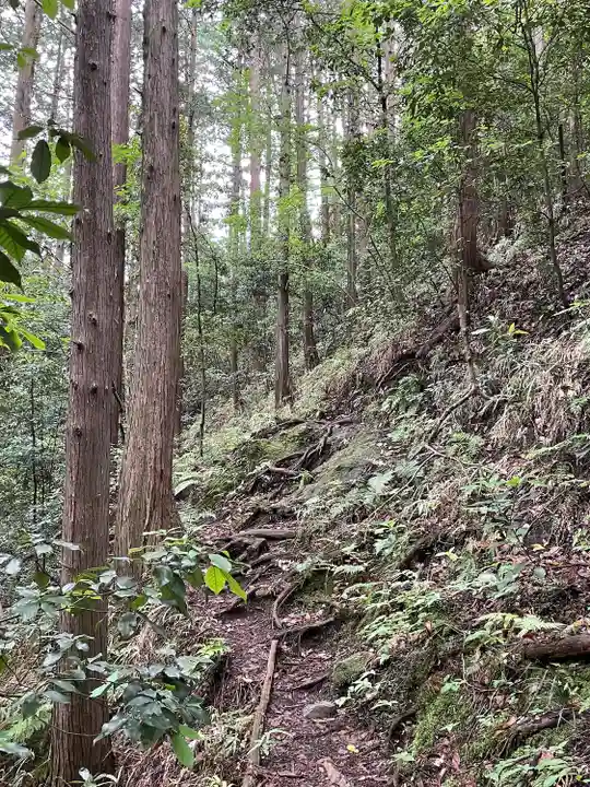 琴平神社の周辺