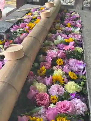 群馬県護国神社(群馬県)