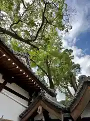 阿保神社(大阪府)