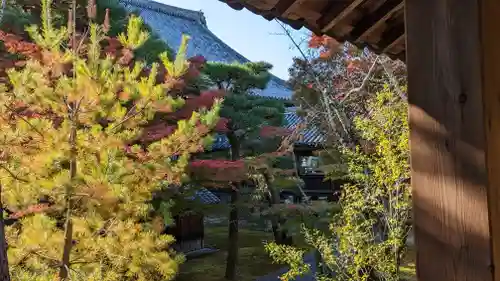 清凉寺(京都府)