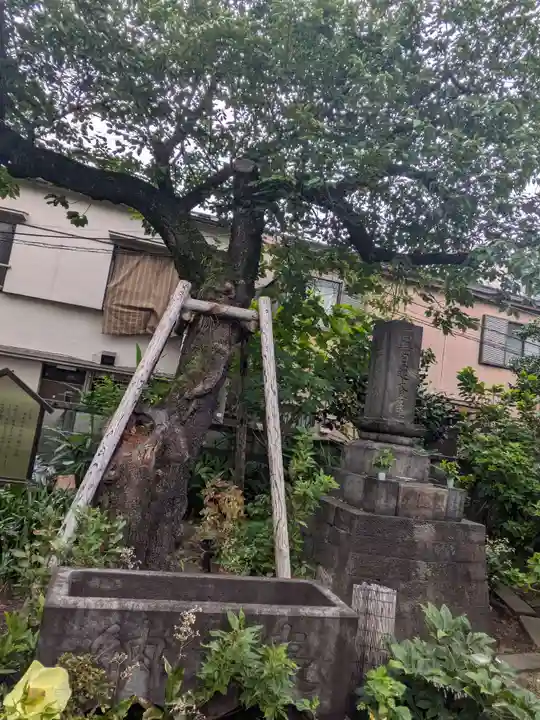 谷中 妙福寺(東京都)