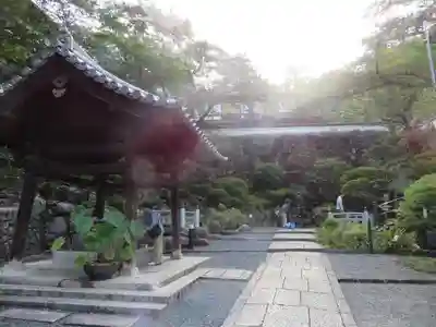 岡寺（龍蓋寺）の手水舎