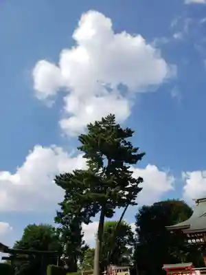 中野沼袋氷川神社(東京都)