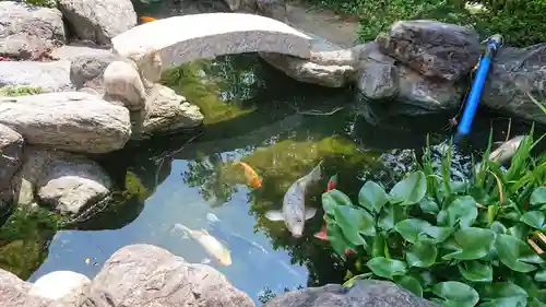 尾張猿田彦神社の庭園